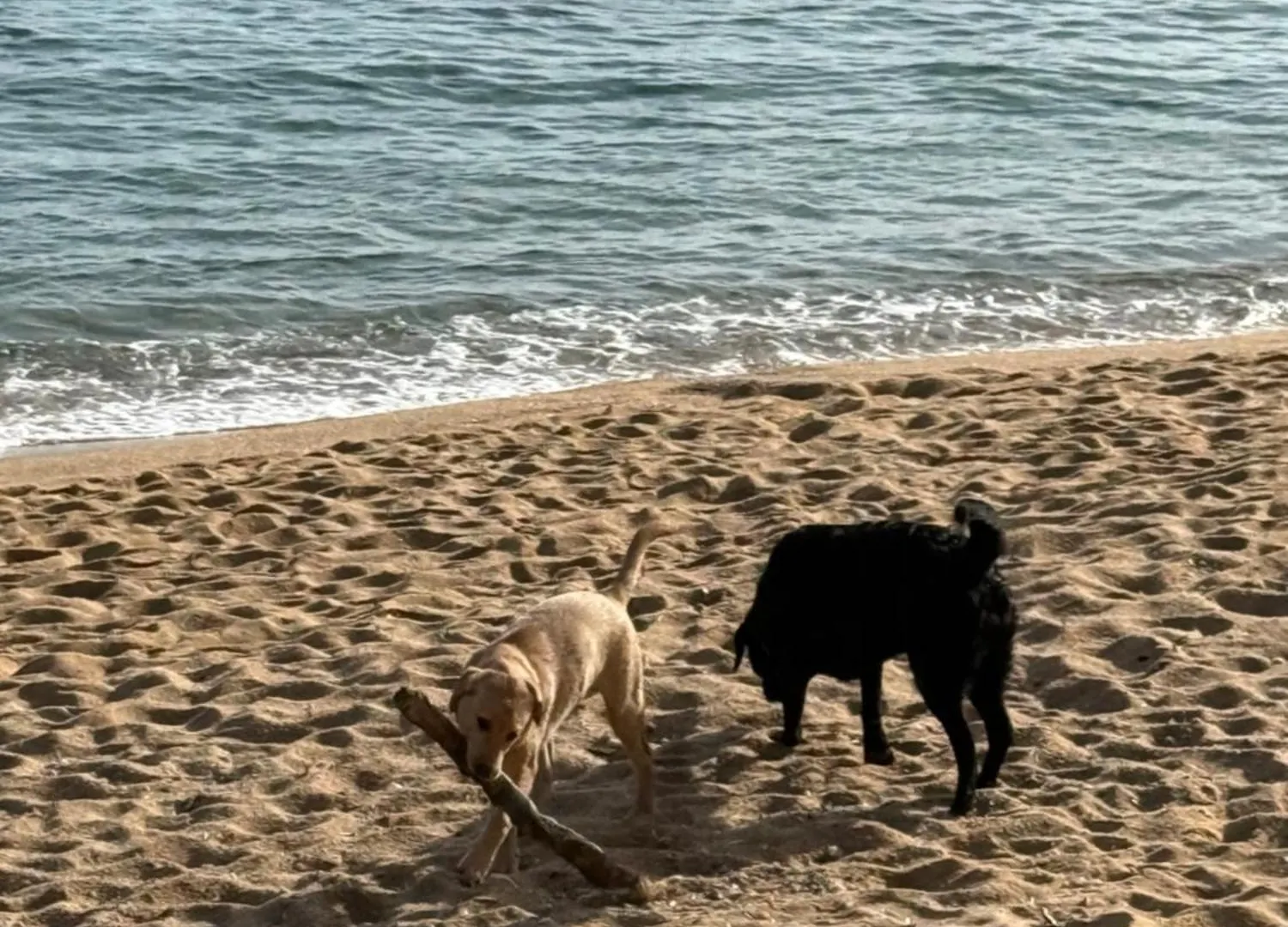 Pinzon, Gezellige Familievilla Met Groot Zwembad. Lloret de Mar 0*,  İspanya
